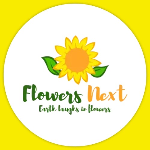 Send flowers Online | Send flowers internationally | Flowersnext